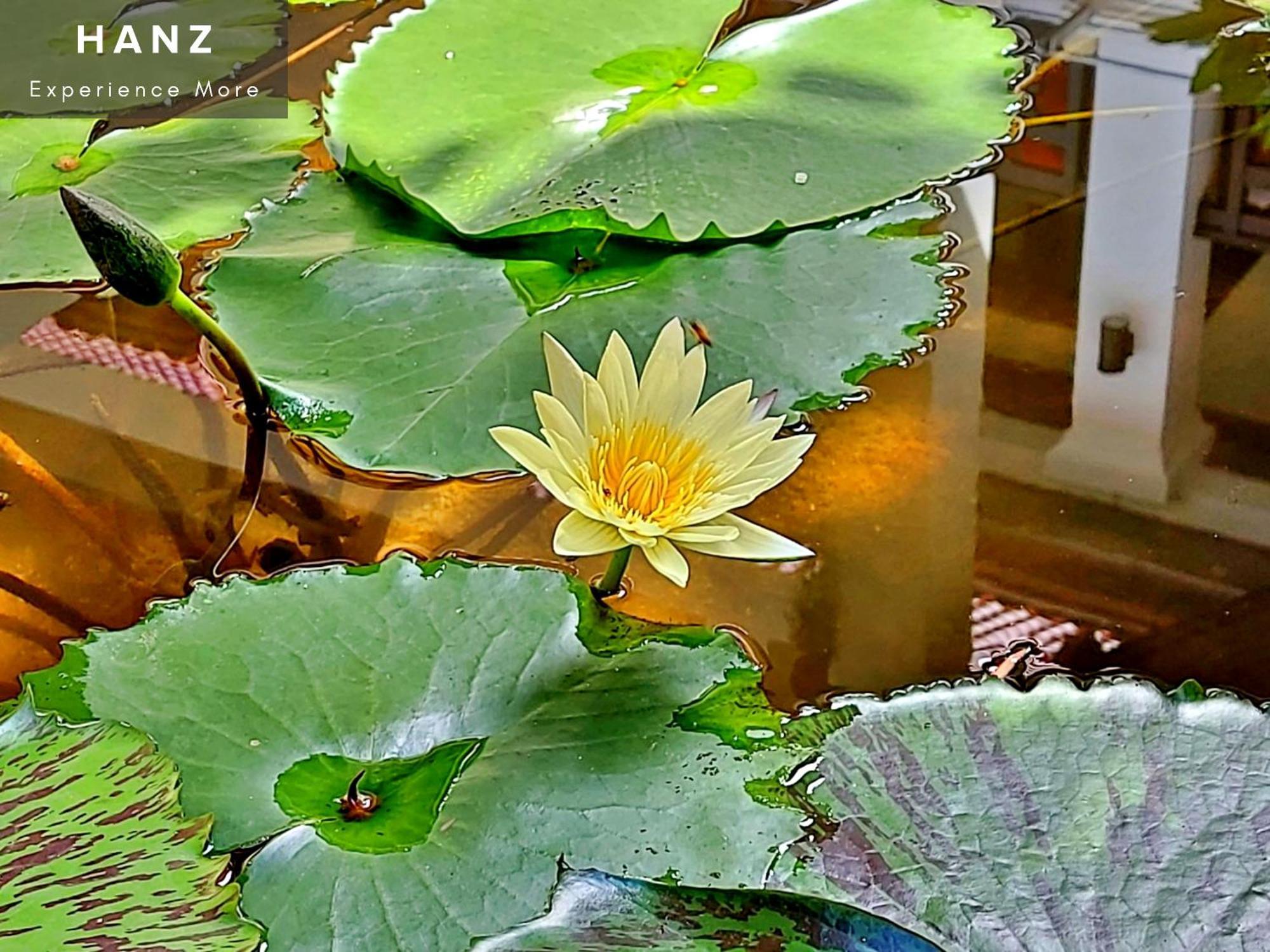 Sunrise Luang Prabang Hotel Екстериор снимка